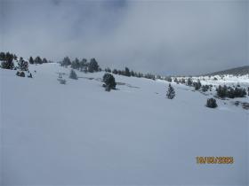 photo coins arrondis